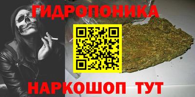 a pvp Шелехов