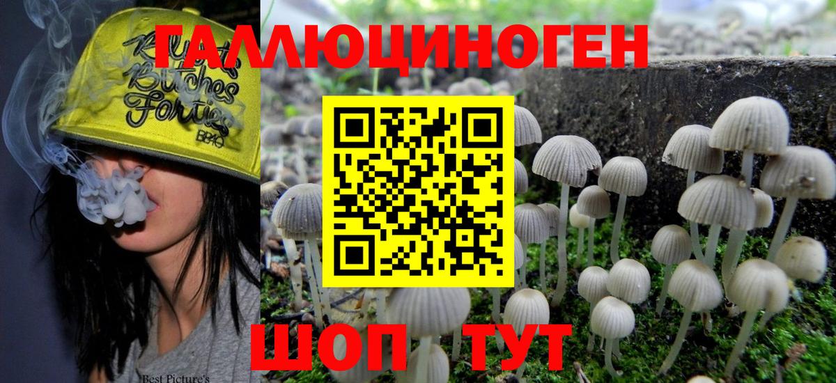 Псилоцибиновые грибы прущие грибы Саратов