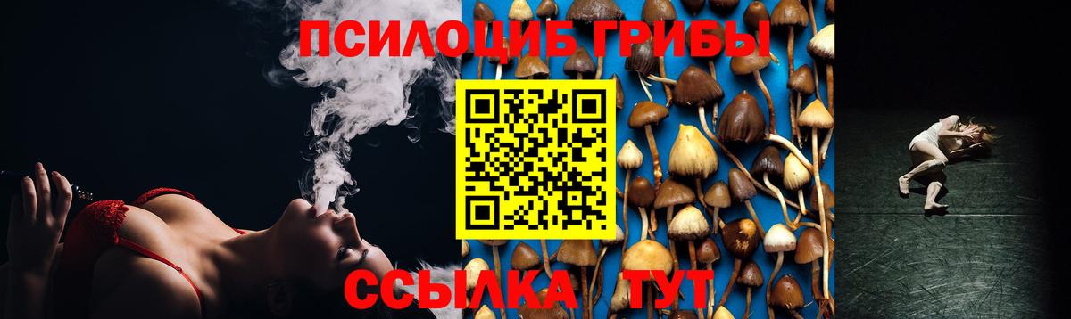 Галлюциногенные грибы Psilocybine cubensis  Вход с VPN  Саратов 